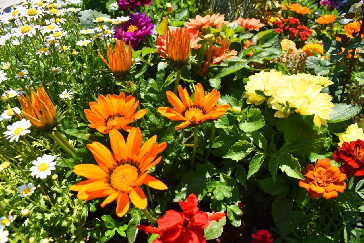 Hotel Garden Terrace Istanbul Bagian luar foto